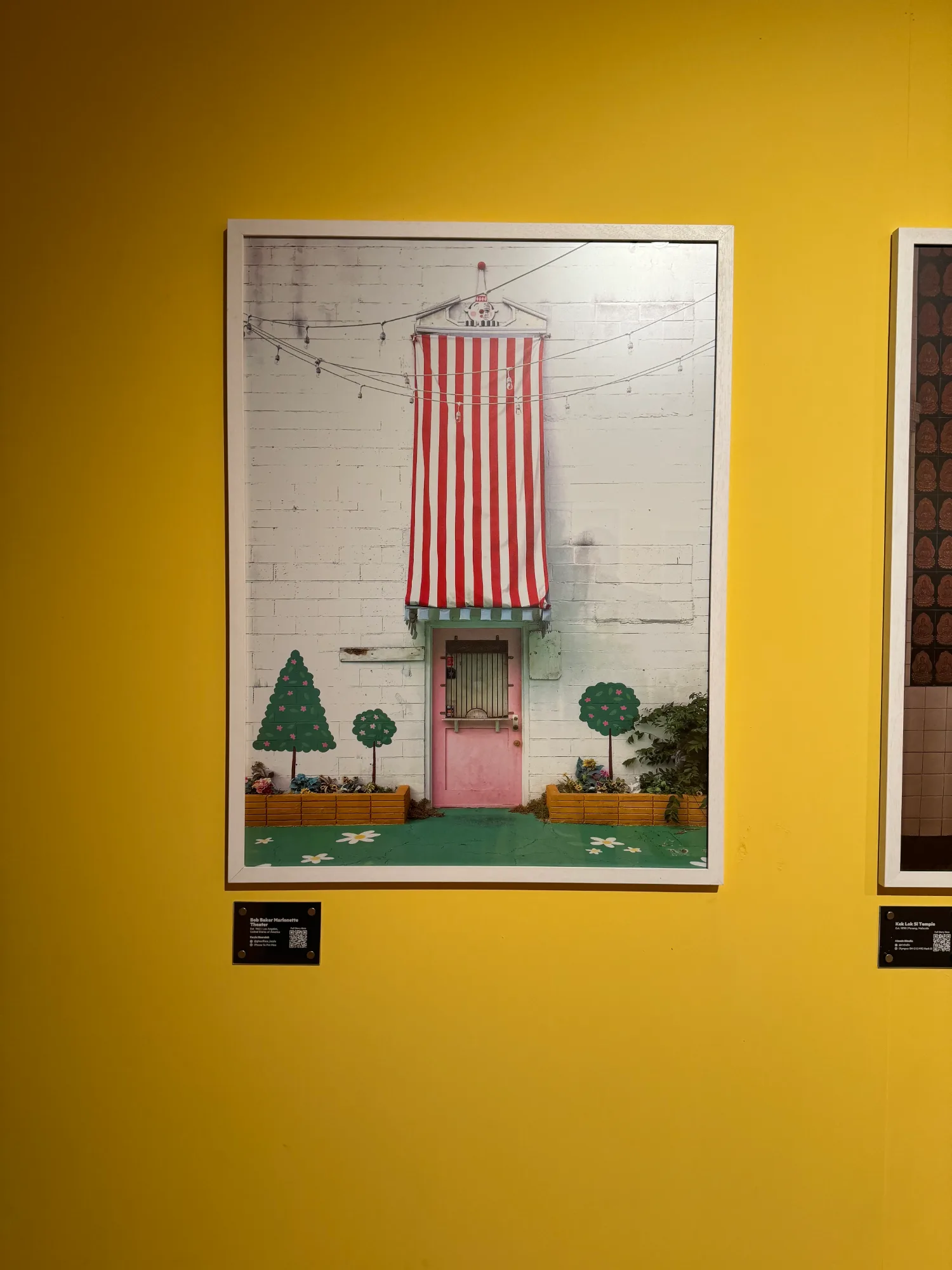 Gallery 11